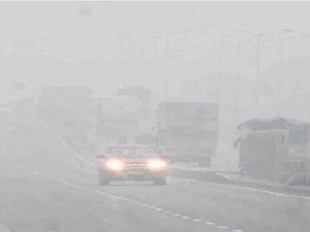 राज्य में मौसम विभाग ने जारी किया पाला पड़ने और घना कोहरा छाने का अलर्ट
