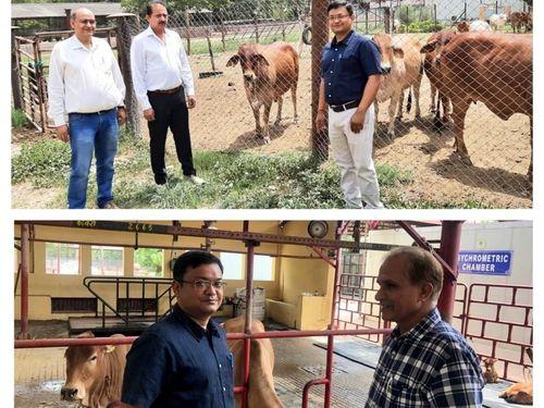 मुख्य अधिशासी अधिकारी द्वारा राष्ट्रीय डेयरी अनुसंधान संस्थान का किया गया भ्रमण 