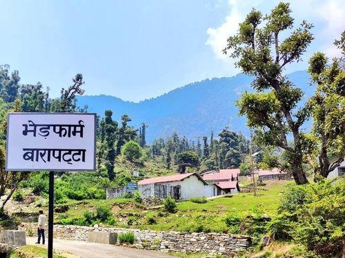 Image for मुख्य पशु चिकित्सा अधिकारी द्वारा किया गया राजकीय भेड़ प्रजनन प्रक्षेत्र बारापट्टा का निरीक्षण
