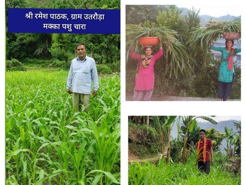 पशुपालकों को उपलब्ध कराया गया निशुल्क चारा बीज