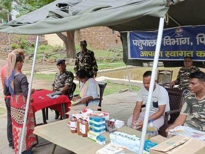 रावतगढ़ा गांव में पशु चिकित्सा शिविर किया गया आयोजित 