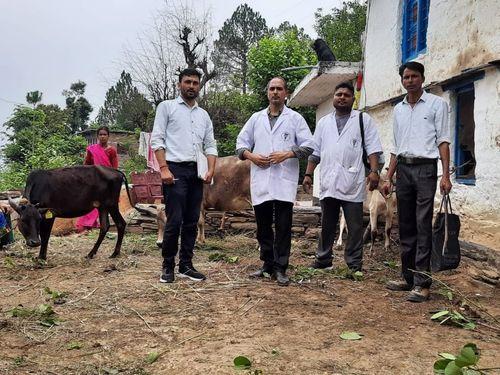 Image for बीमारी से बचाव के लिए पशुओं पर लगाया गया टीका