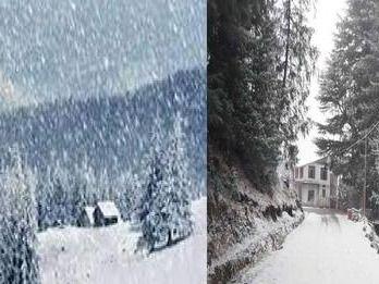 मसूरी, धनौल्टी, नैनीताल की ऊंची चोटियों पर बर्फबारी