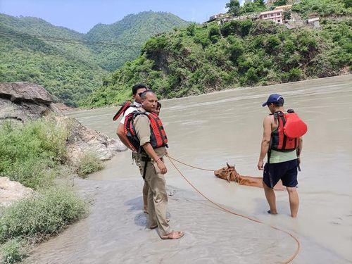 झील किनारे फंसी गाय का उत्तराखण्ड पुलिस ने किया रेस्क्यू