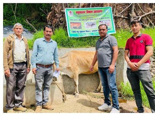 Image for ग्राम परबारा में खुरपका मुहँपका बीमारी का किया गया टीकाकरण 