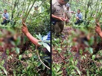 पांच साल के बच्चे को उठा ले गया गुलदार, अधखाया शव मिला