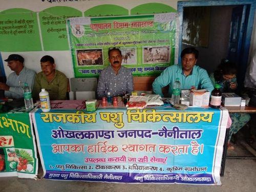 गांव गरगरी में पशुपालन विभाग द्वारा लगाया गया शिविर