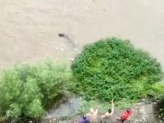 Image for दलदल में फंसी गाय को उत्तराखण्ड पुलिस ने किया रेस्क्यू
