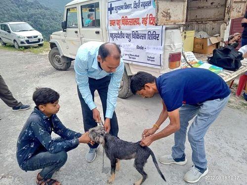 Image for ब्लॉक-कीर्तीनगर के ग्राम रिंगोली में पशु चिकित्सा शिविर का किया गया आयोजन 