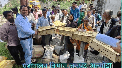 आजीविका वृद्धि हेतु एक दिवसीय कुक्कुट चूजों का किया गया वितरण
