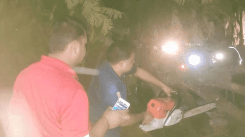 Image for फायर स्टेशन गोपेश्वर द्वारा मार्ग में गिरे पेड़ को त्वरित कार्यवाही कर सकुशल हटाया गया