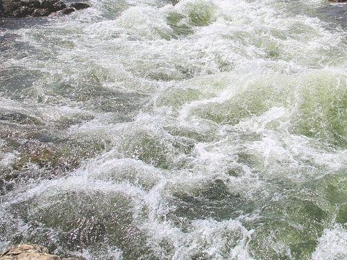 नदी में छलांग लगाती दो युवतियों की सेकंड भर के अंदर कांस्टेबल विनोद ने वक़्त रहते बचाई जान।