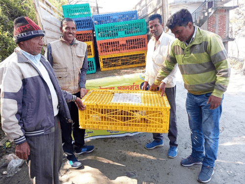 स्वरोज़गार को बढ़ावा देने हेतु एक माह के चूजे किए गए वितरित