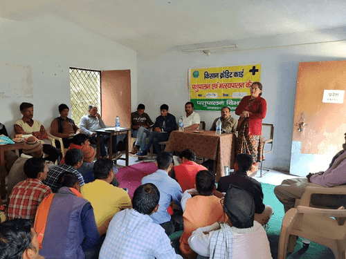 पशुपालकों के लिए केसीसी कैम्प का किया गया आयोजन