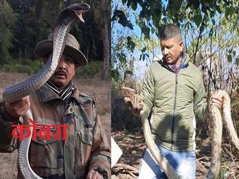 जहरीले सांपों को खिलौने की तरह पकड़ने वाले वन विभाग के सच्चे सिपाही का निधन
