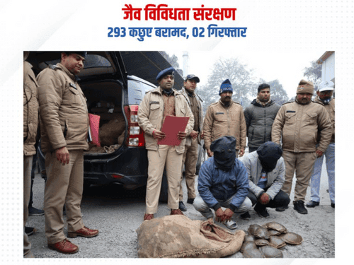 Image for ज़िंदा कछुओं से भरे हुए 06 बोरे उत्तराखण्ड पुलिस ने किये बरामद
