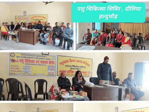 Image for सचल पशु चिकित्सालय, भीमताल द्वारा पशु चिकित्सा शिविर का किया गया आयोजन