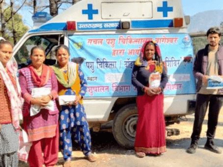 ग्राम जौलगाँव में सचल पशुचिकित्सा शिविर का किया गया आयोजन