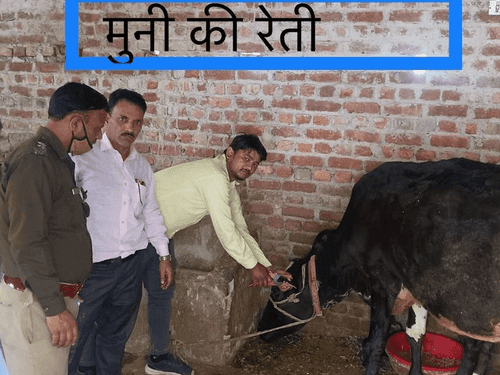 जनपद टिहरी गढ़वाल में पशुओं में की गई टैगिंग