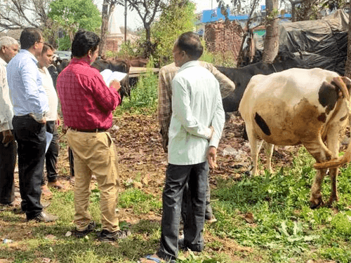 Image for ग्राम झडौन्द में पशु प्रदर्शनी का किया गया आयोजन