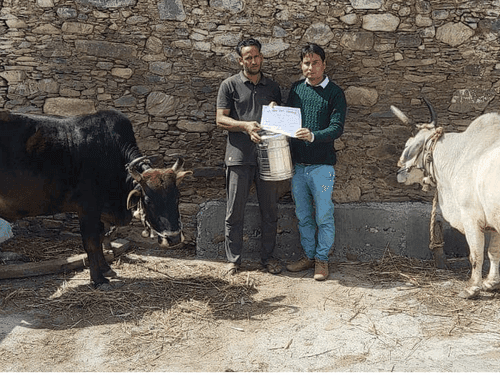 ग्राम छोटी मणी में पशु प्रदर्शनी का किया गया आयोजन