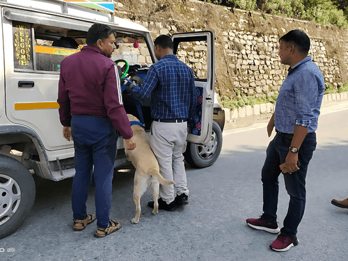 02 किलो 500 ग्राम भांग पत्ती के साथ तस्कर गिरफ्तार