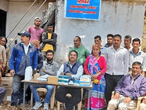ग्राम जगथली में पशुचिकित्सा शिविर का किया गया आयोजन