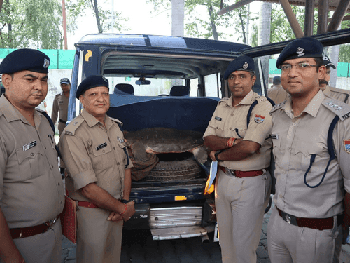वन्य जीव जन्तुओं तस्करों के विरुद्ध उधम सिंह नगर पुलिस की बड़ी कार्यवाही