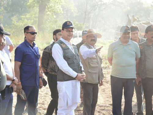 Image for सीएम धामी ने मंत्रियों संग राजाजी नेशनल पार्क का किया गया भ्रमण