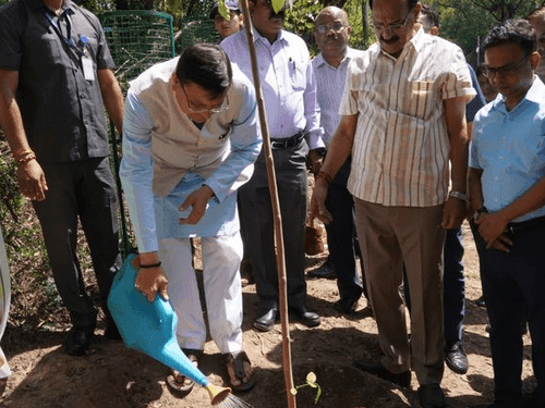 Image for सीएम धामी ने विश्व पर्यावरण दिवस के अवसर पर किया पौधारोपण