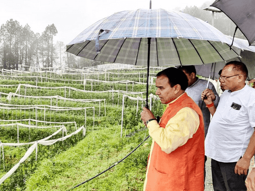 कैबिनेट मंत्री डाॅ0 धन सिंह रावत ने राजकीय आदर्श उद्यान पटेलिया का किया निरीक्षण