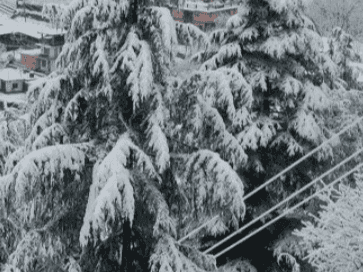 उत्तराखंड में मौसम में बदलाव, बारिश-बर्फबारी की संभावना