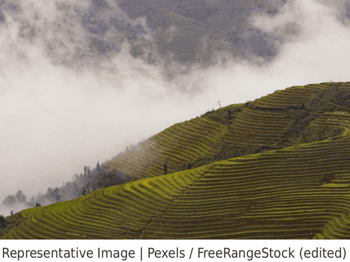 चमोली में बारिश-बर्फबारी की कमी से फसलें प्रभावित