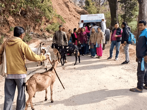 ग्राम दूंगा एवं दिग्तोली में पशुचिकित्सा शिविर का किया गया आयोजन